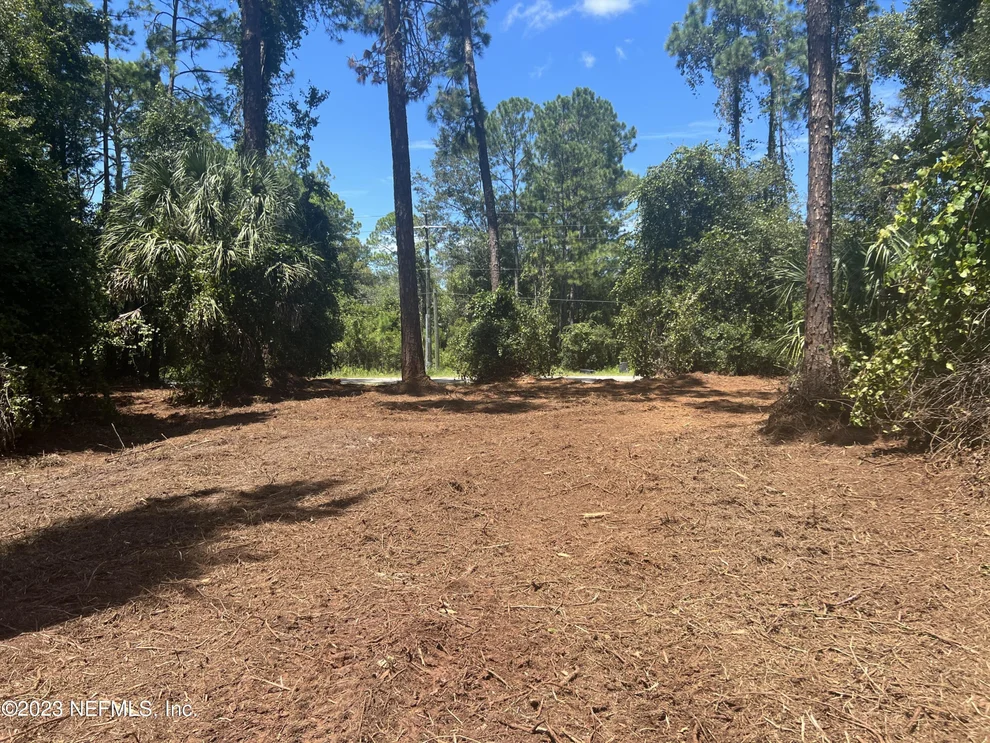 Unit for sale at 162 WHISPERING PINES Road, Georgetown, FL 32139