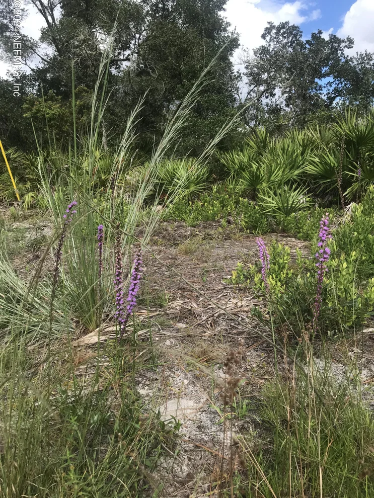Unit for sale at 0 SUMMIT Road, Satsuma, FL 32189