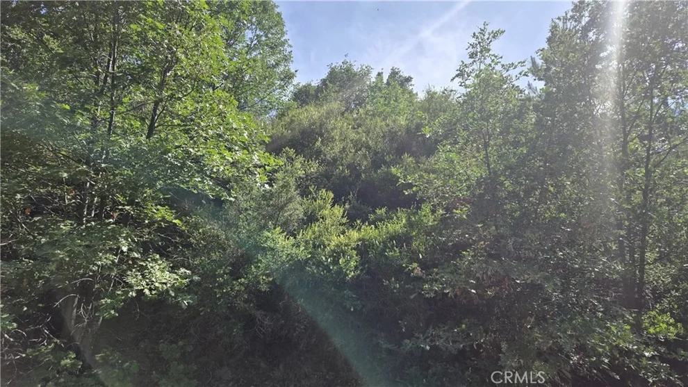 Unit for sale at 0 Elder Drive, Cedar Glen, CA 92321