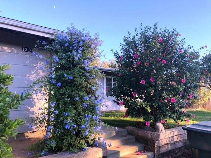 Unit for sale at 1310 Rees, Escondido, CA 92026
