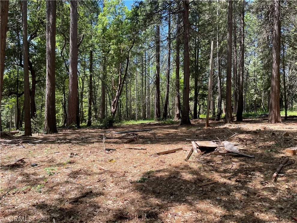 Unit for sale at 55 Buckeye, Forbestown, CA 95941