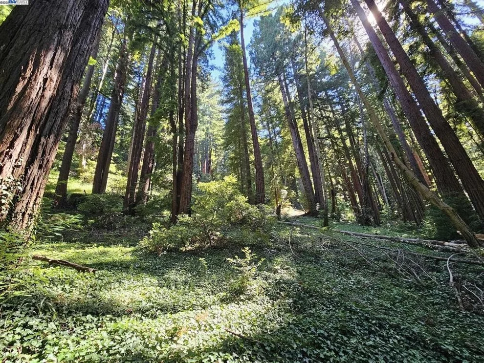 Unit for sale at Lot26 Old La Honda Rd, Woodside, CA 94062
