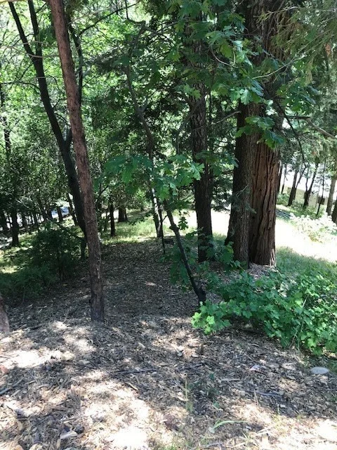 Unit for sale at 0 Valle Drive, Crestline, CA 92325