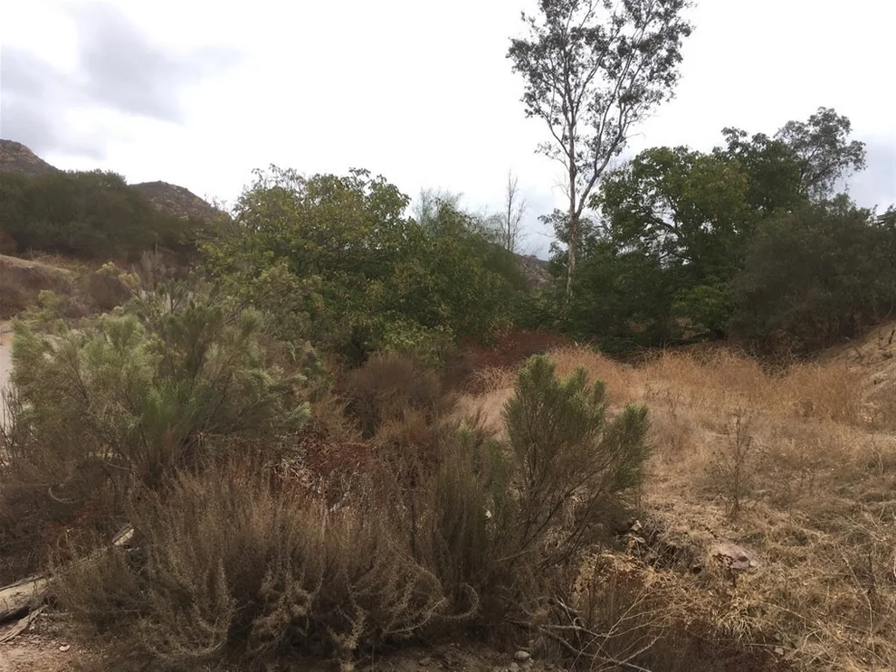Unit for sale at 310 Patrick Drive, El Cajon, CA 92019