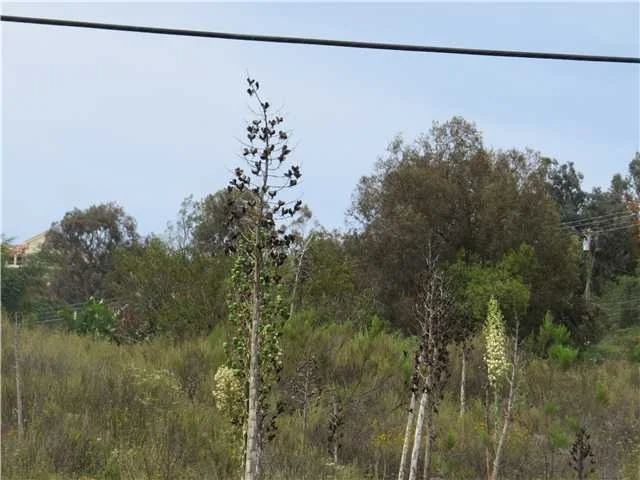 Unit for sale at Lyons Valley Road, Jamul, CA 91935