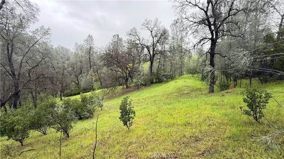 Unit for sale at 16370 Oakridge Road, Corning, CA 96021