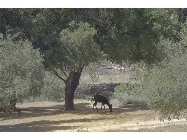 Unit for sale at 21 Matagual/BIA RD 51/San Felipe Road, Santa Ysabel, CA 92070