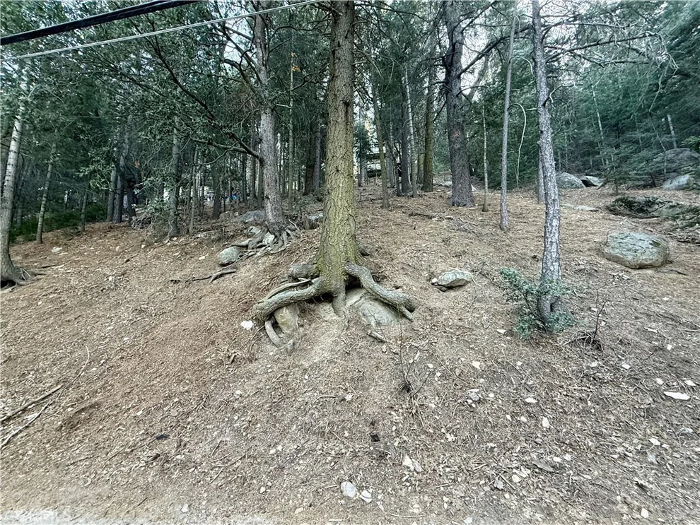 Unit for sale at 0 Scenic View, Crestline, CA 92325