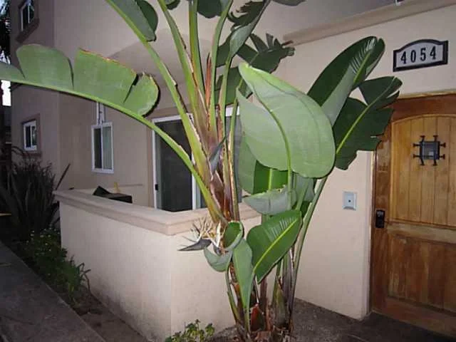Unit for sale at 4054 Illinois Street, San Diego, CA 92104