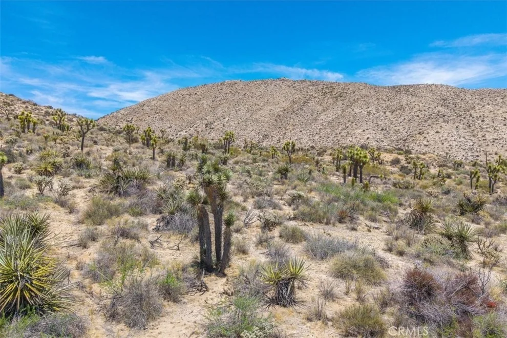 Unit for sale at 55652 Buena Vista Drive, Yucca Valley, CA 92284