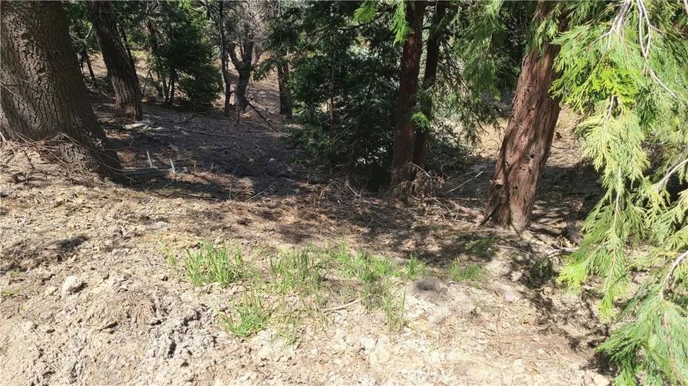 Unit for sale at 29186 Arrowhead Drive, Cedar Glen, CA 92321
