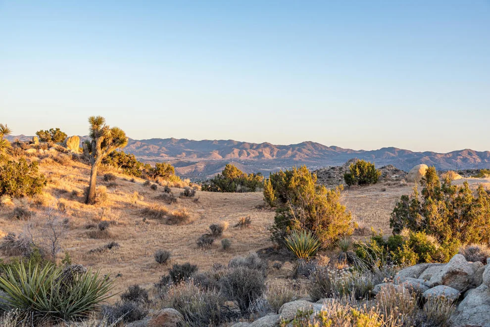 Unit for sale at 56765 Sable Court, Yucca Valley, CA 92284