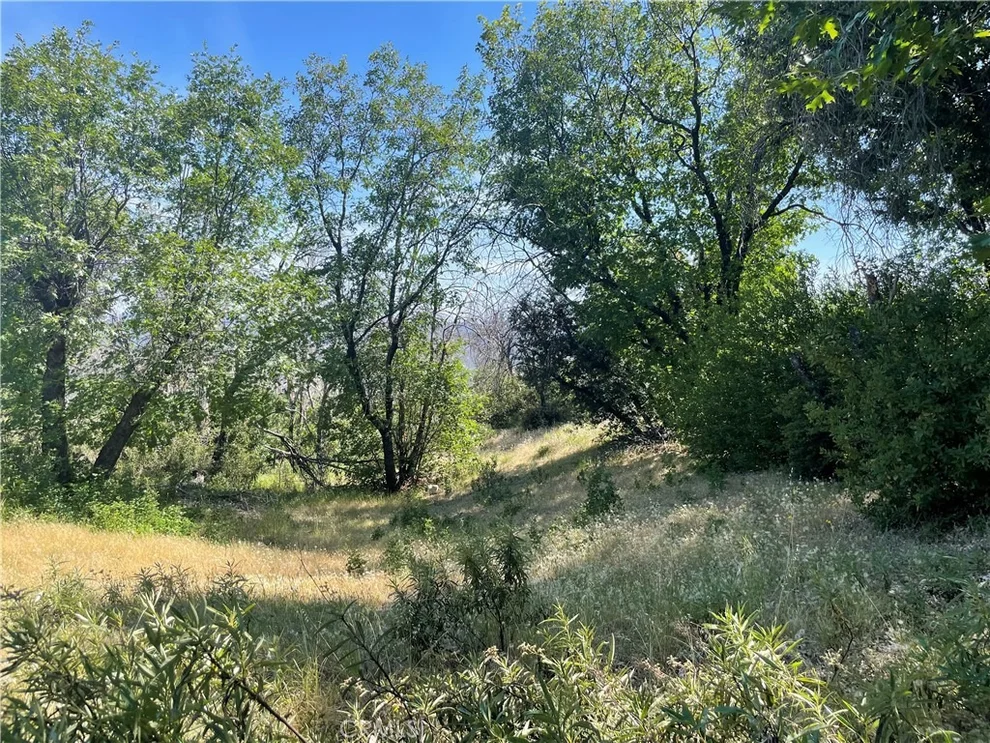 Unit for sale at 363 Raccoon Road, Berry Creek, CA 95916