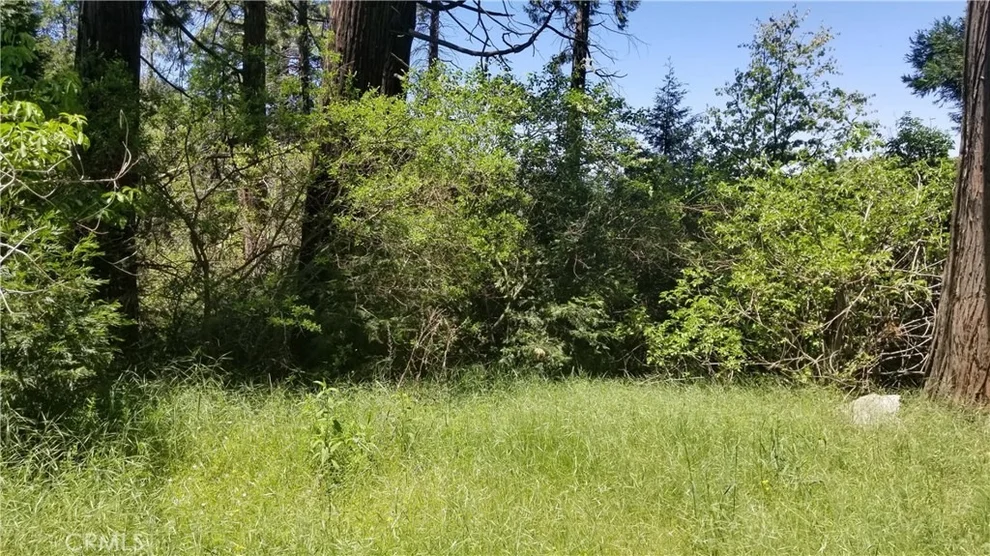 Unit for sale at 0 Sawpit Creek Road, Cedarpines Park, CA 92321