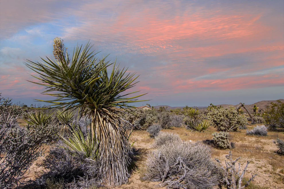 Unit for sale at 102 Saddleback Road, Joshua Tree, CA 92252