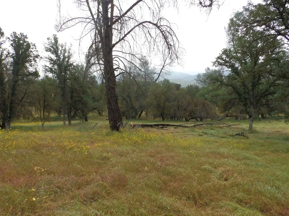 Unit for sale at Address, Raymond, CA 93653