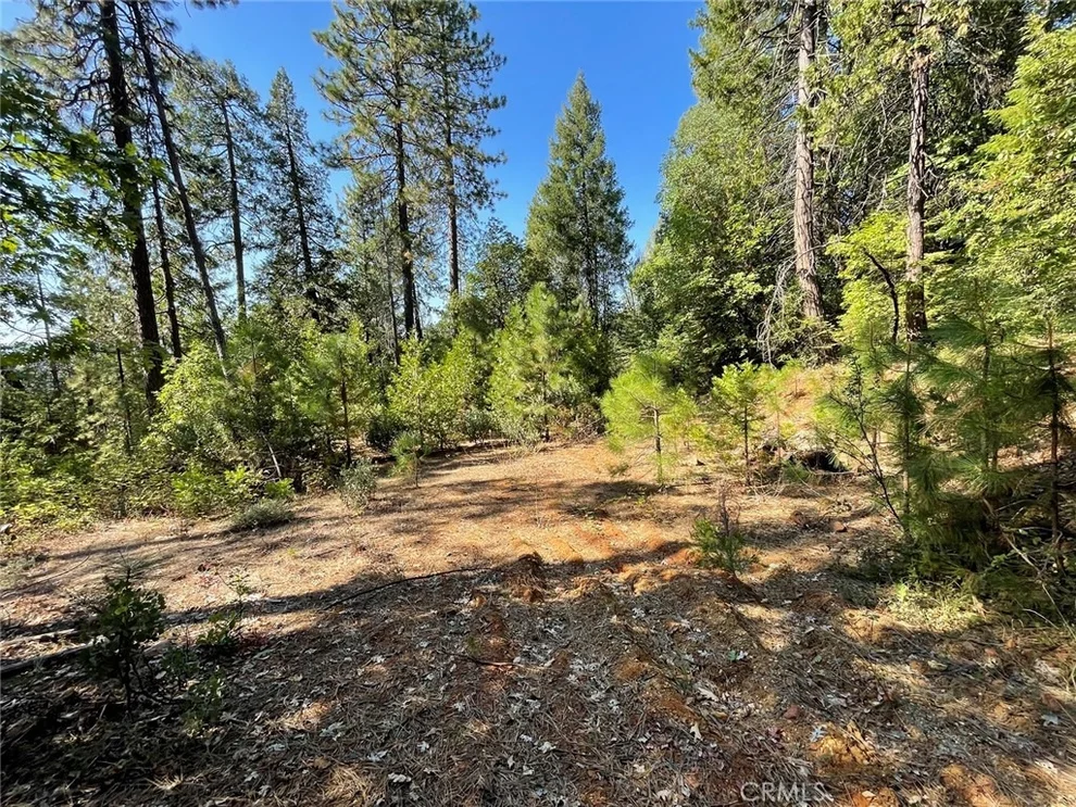 Unit for sale at 0 Forbestown, Challenge, CA 95925