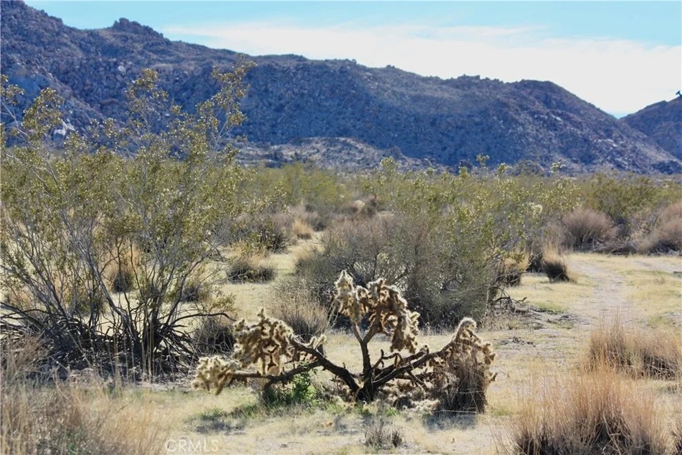 Unit for sale at 64647 Foothill Drive, Joshua Tree, CA 92252