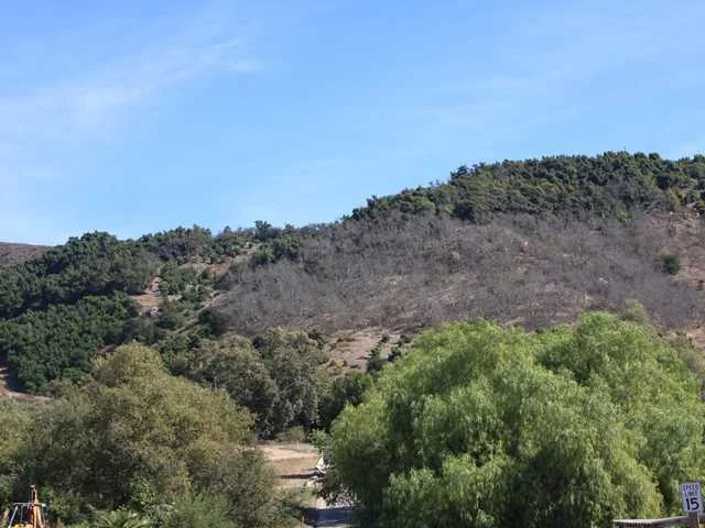 Unit for sale at 0 Monserate Hill Road, Fallbrook, CA 92028