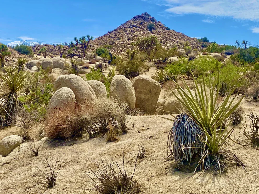Unit for sale at 104 Bandera Road, Yucca Valley, CA 92284