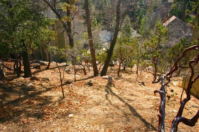 Unit for sale at 0 Yolo Way, Lake Arrowhead, CA 92352