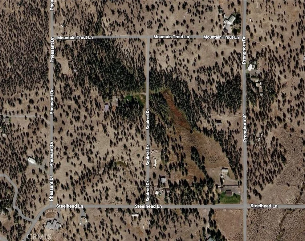 Unit for sale at 0 Pheasant Drive, Alturas, CA 96101