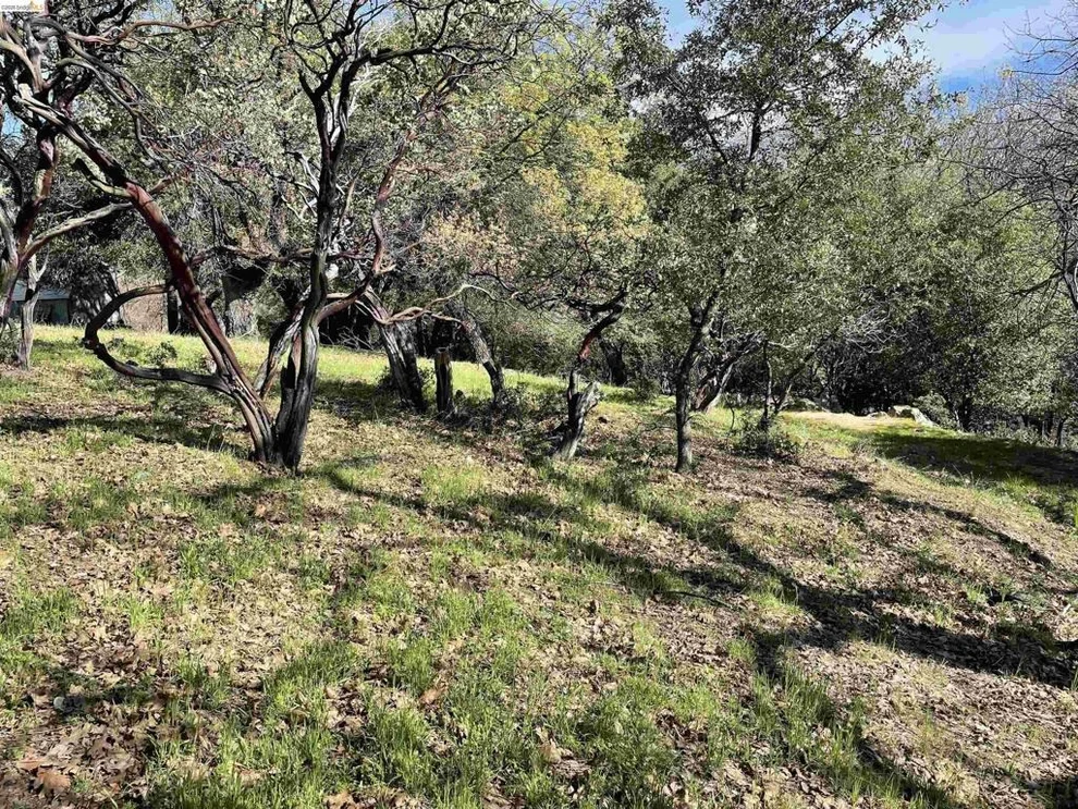 Unit for sale at 16505 S Creekside Dr, Sonora, CA 95370