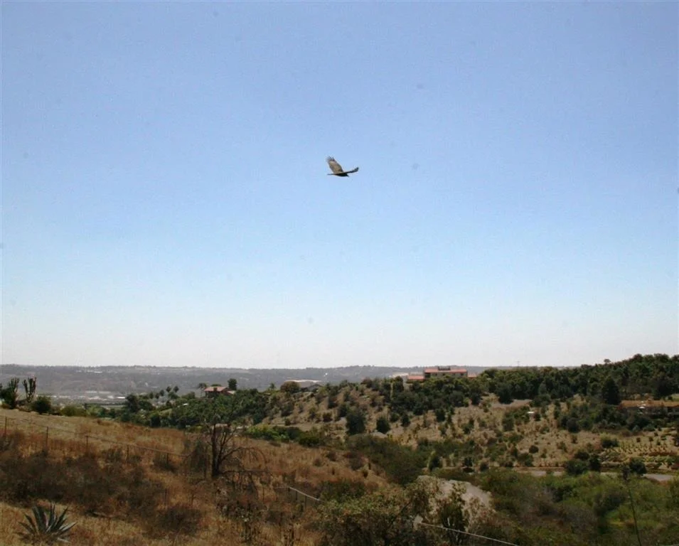 Unit for sale at 31257 Via Puerta Del Sol, Bonsall, CA 92003