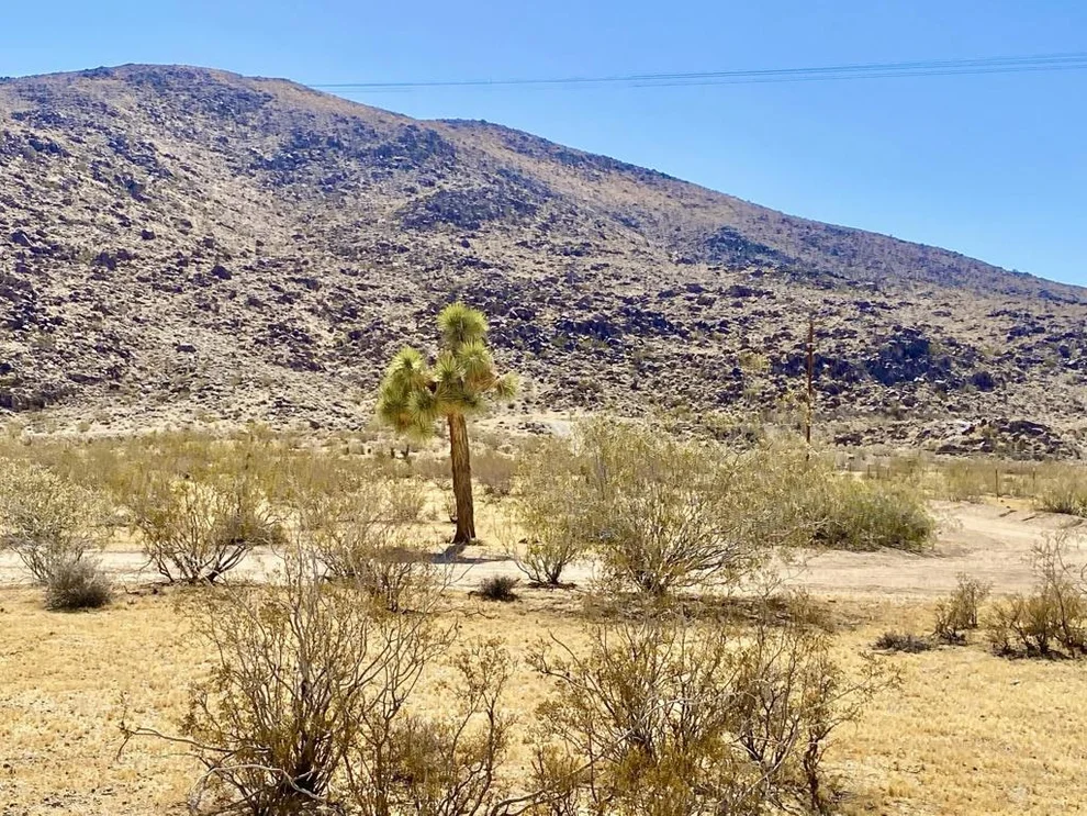 Unit for sale at 4225 Benji Avenue, Joshua Tree, CA 92252