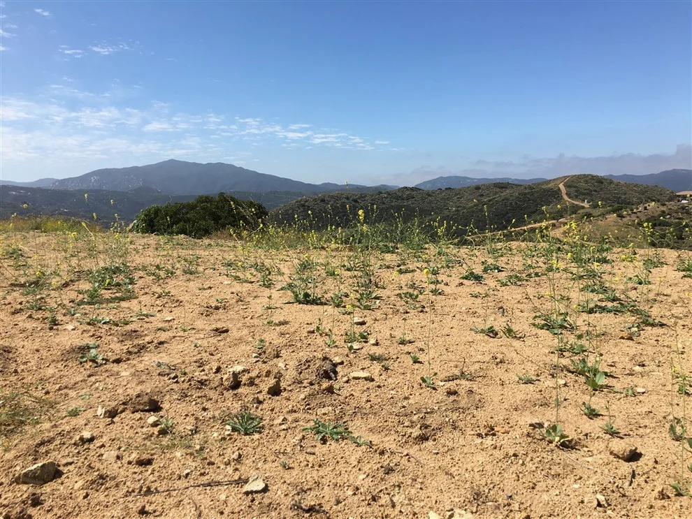 Unit for sale at Wilson Rd., El Cajon, CA 92019