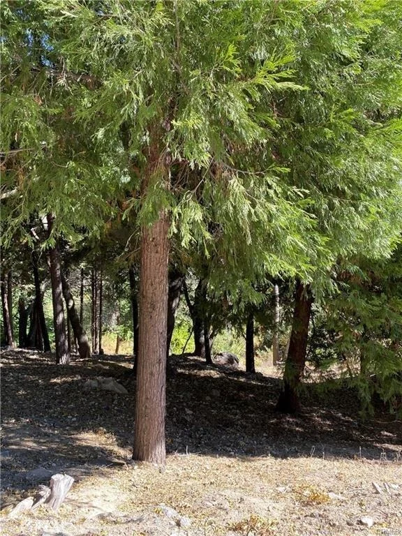 Unit for sale at 0 Old City Creek Road, Running Springs, CA 92382