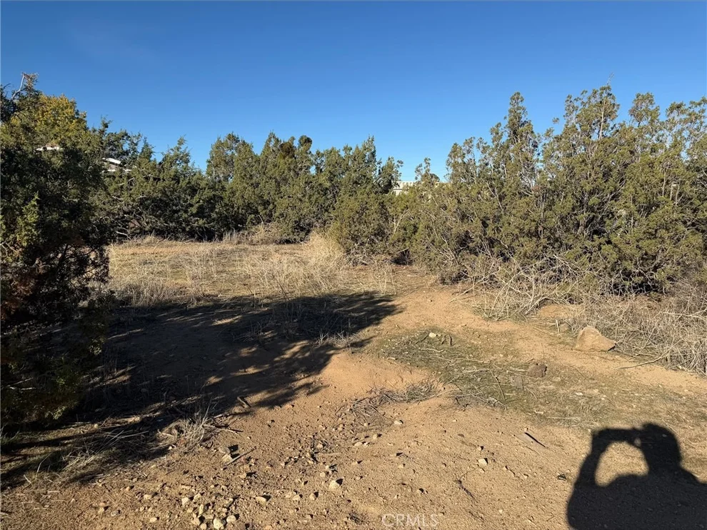 Unit for sale at 0 Neilson Road, Phelan, CA 92371