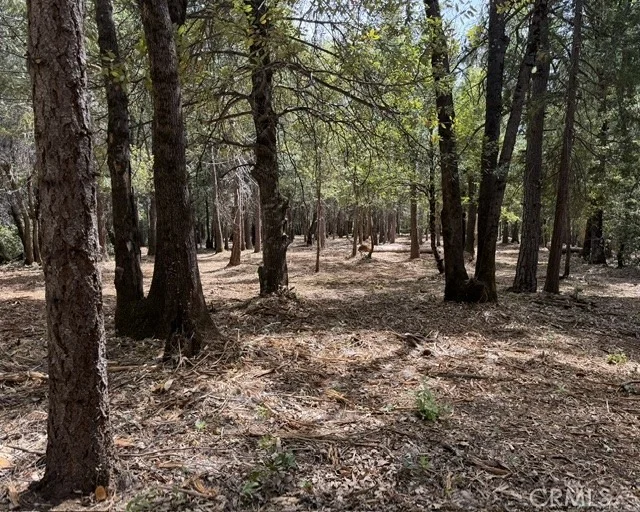 Unit for sale at 0 Platt Mountain Road, Forest Ranch, CA 95942