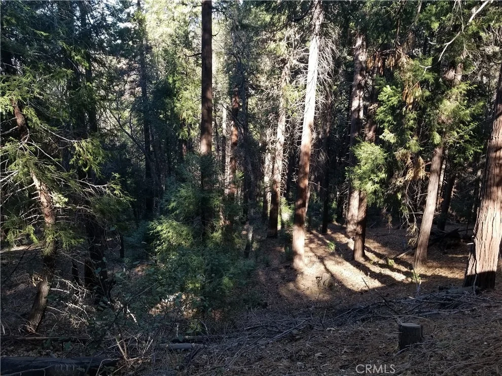 Unit for sale at 0 Mojave View Drive, Cedarpines Park, CA 92322