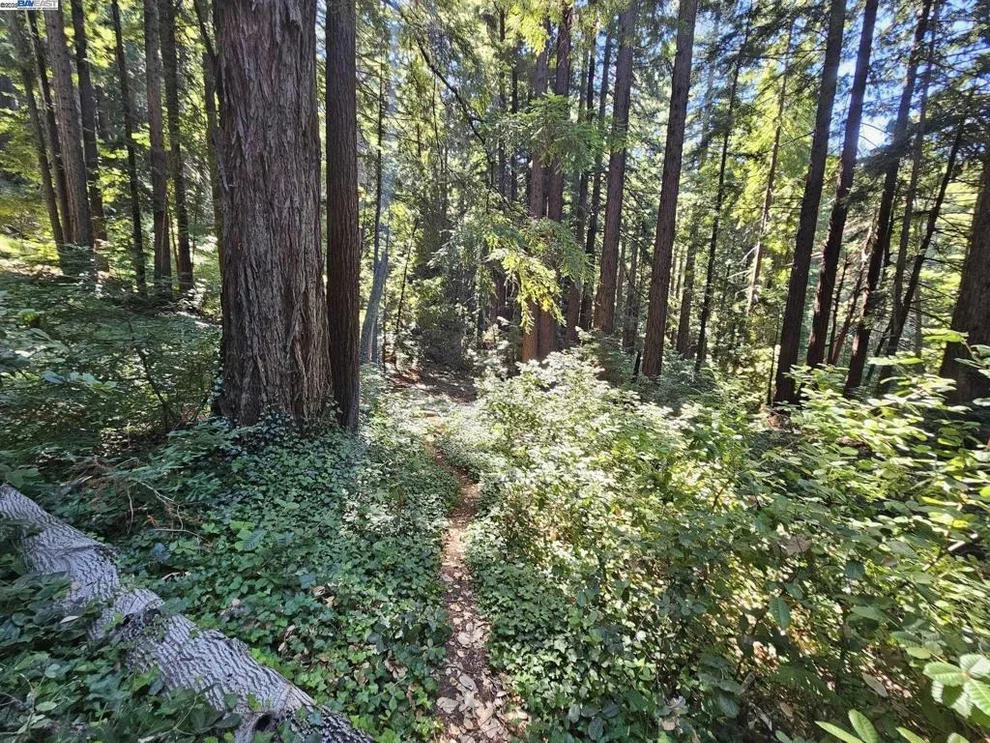 Unit for sale at LOT27 Old La Honda Rd, Woodside, CA 94062