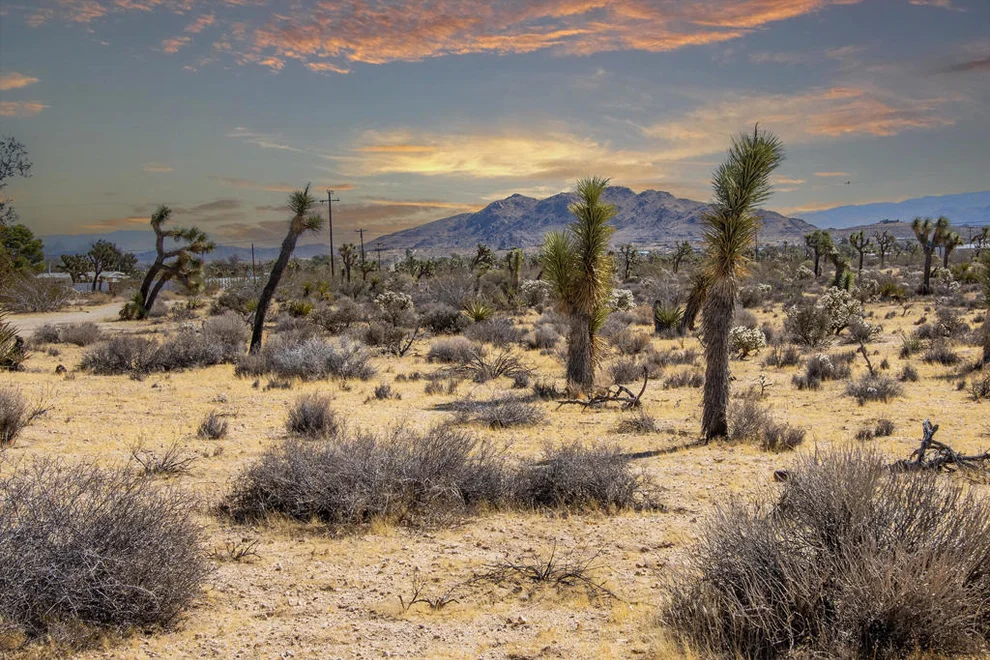 Unit for sale at 58470 Mesa Drive, Yucca Valley, CA 92284