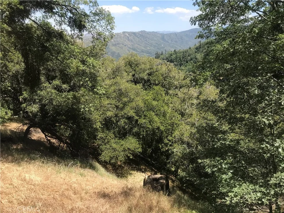 Unit for sale at 0 Buck Road, Cedarpines Park, CA 92322
