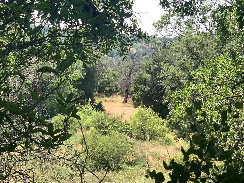 Unit for sale at 6 Acres Hwy 78, Julian, CA 92036