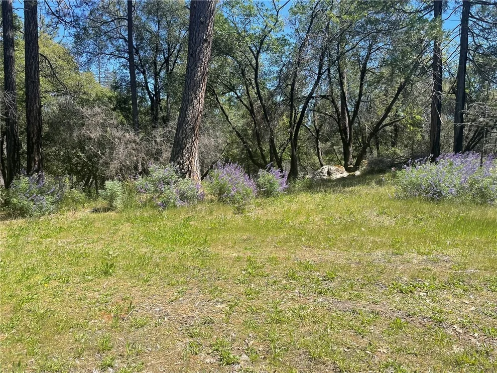Unit for sale at 0 Lumpkin Road, Feather Falls, CA 95966