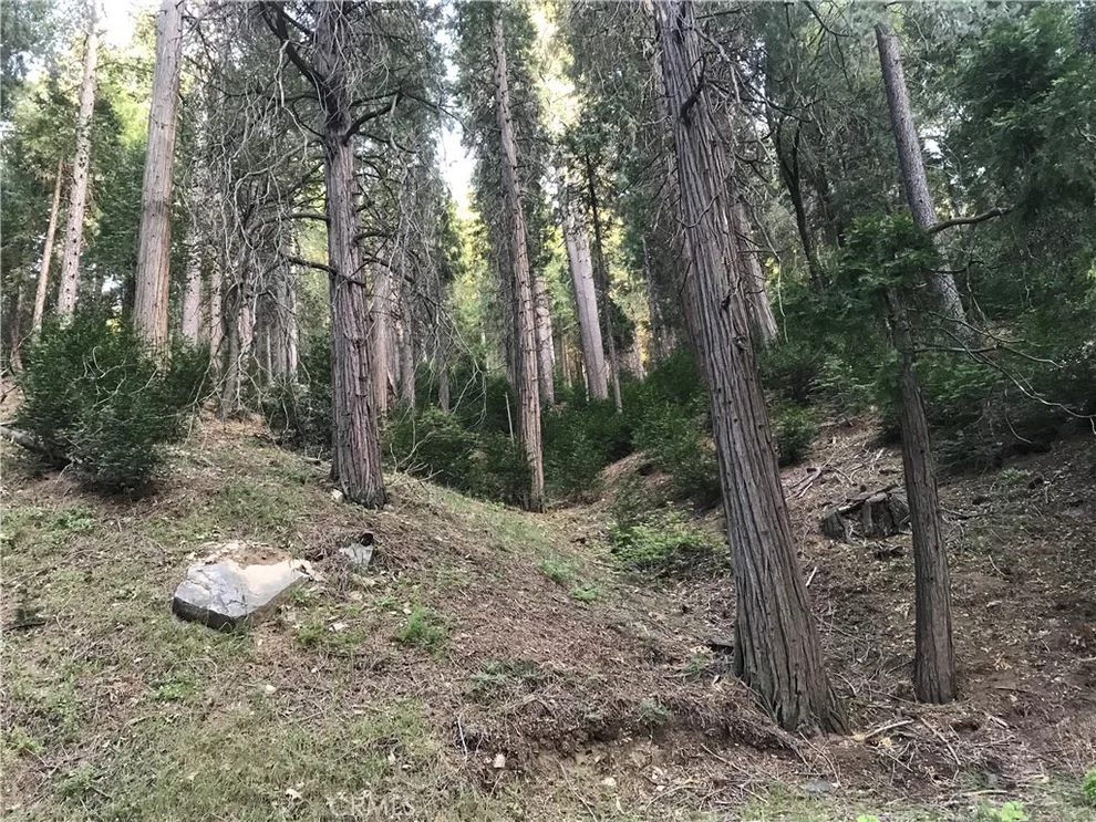 Unit for sale at 0 Mojave River, Cedarpines Park, CA 92322