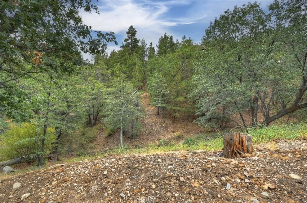 Unit for sale at 0 Minton Avenue, Big Bear City, CA 92314