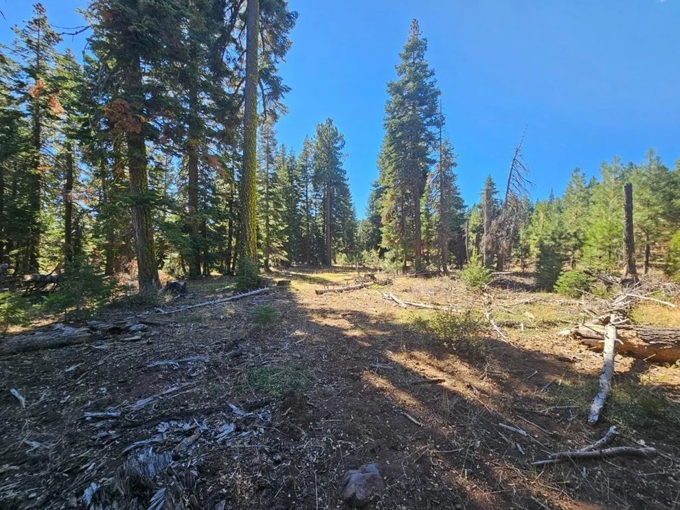 Unit for sale at 0 Prospect Road, Alturas, CA 96101