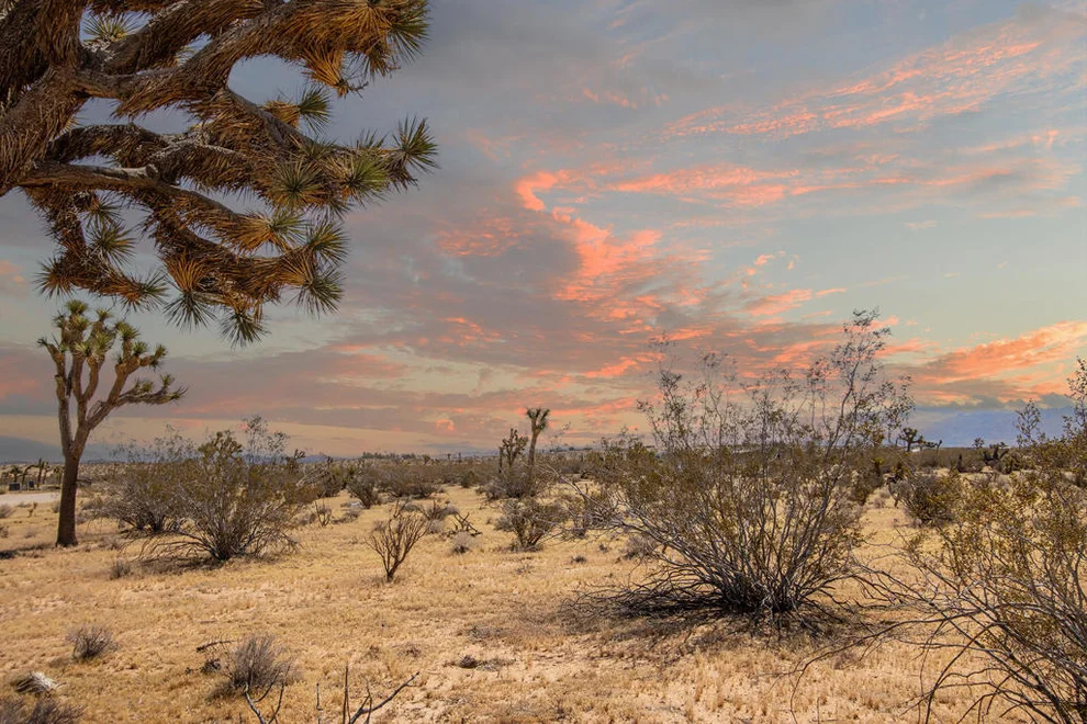 Unit for sale at 60531 Cielito Drive, Joshua Tree, CA 92252