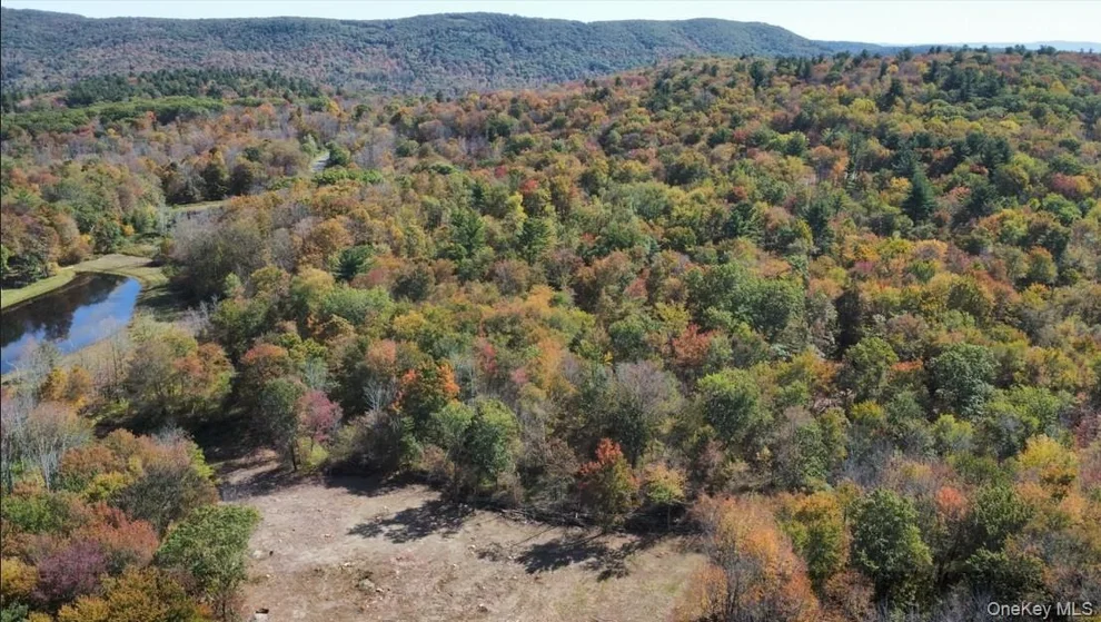 Unit for sale at TBD W Hill Road, Austerlitz, NY 12017