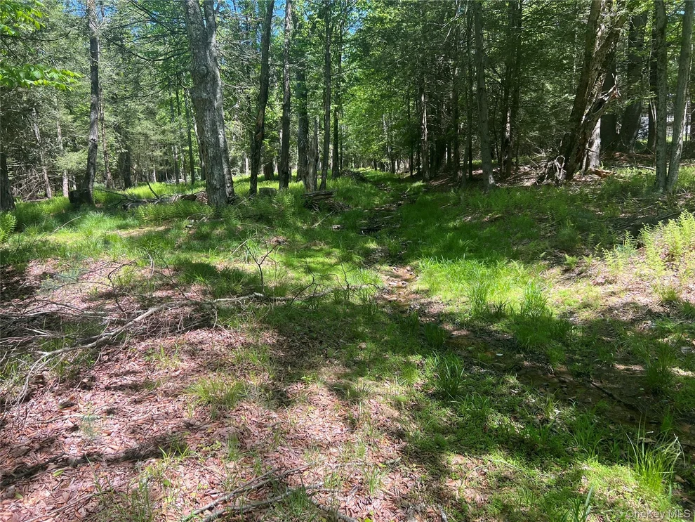 Unit for sale at 95 Old Tacy Road, Bethel, NY 12783