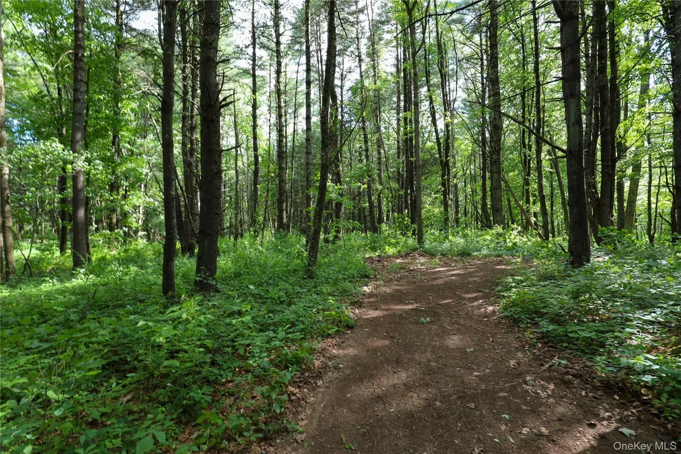 Unit for sale at TBD Old Kings Road, Catskill, NY 12414