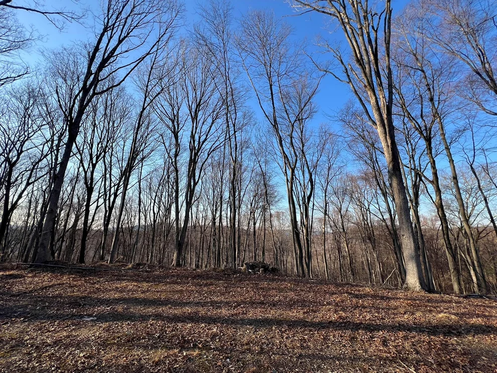 Unit for sale at 80 Justins Way, Philipstown, NY 10524