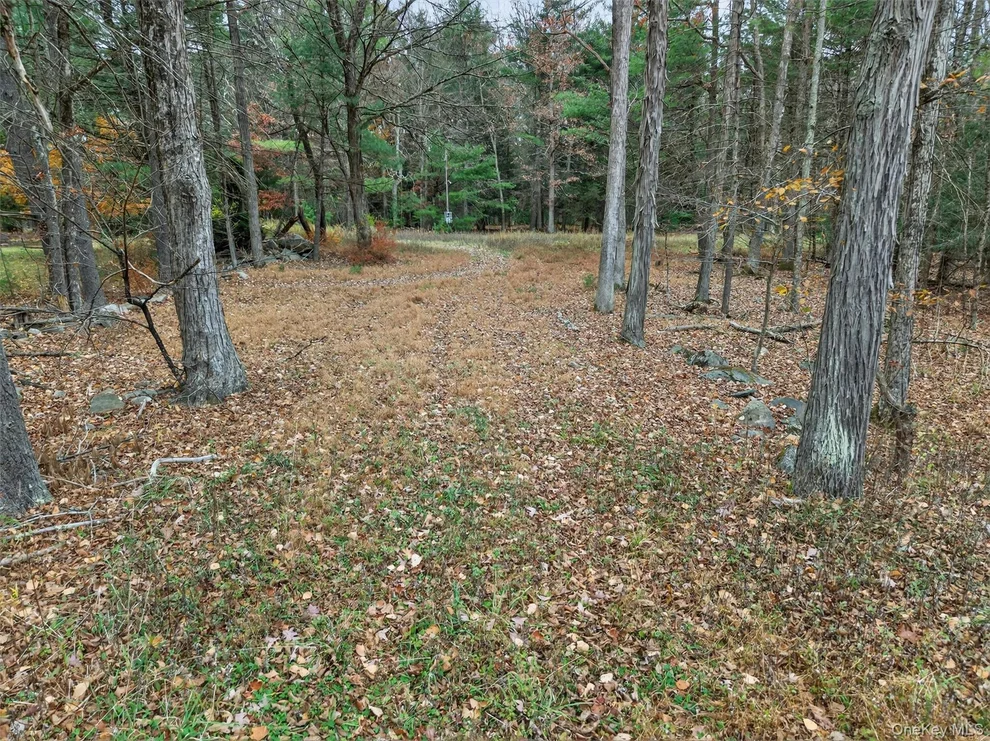 Unit for sale at 742 Peenpack Trail, Deerpark, NY 12780