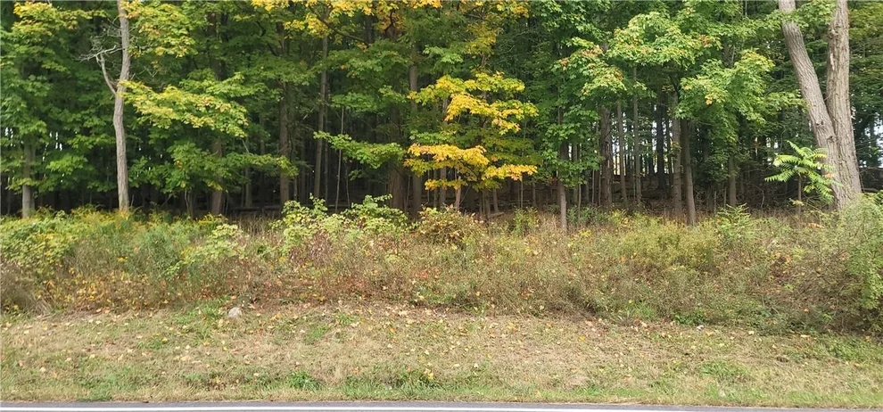 Unit for sale at Lot 7 Bethlehem Road, New Windsor, NY 12553