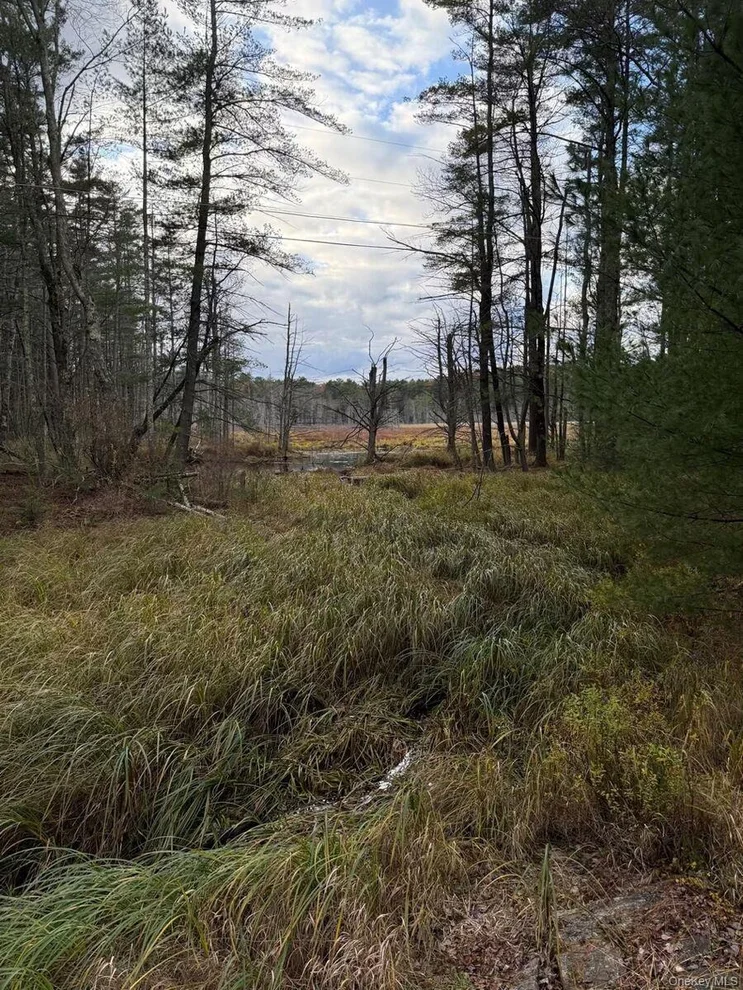 Unit for sale at 0 Puckyhuddle Road, Bethel, NY 12720